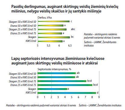 infografika, lyginanti skirtingų veislių jautrumą pagrindinėms ligoms