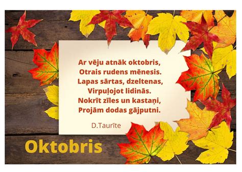 nuotrauka, iliustruojanti ankstyvo rudens pasėlį su vienu lapeliu