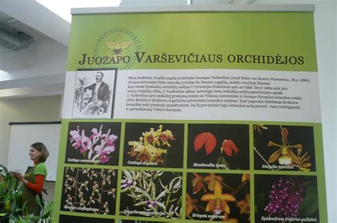 egzotinių augalų kolekcija parodoje