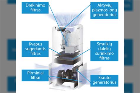 Palyginimas dydžio dalelių ore: žmogaus plaukas, smėlis, žiedadulkė, dulkės, bakterijos.