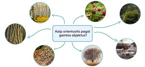 Schematinis paaiškinimas, kaip nustatyti absoliutų drėgmės kiekį pagal temperatūrą ir santykinę drėgmę.