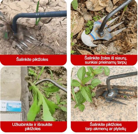 mechanizuotas piktžolių ravėjimas