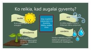 Infografika, iliustruojanti tinkamas vandens normas skirtingiems augalams ir dirvožemiams