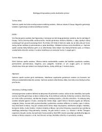 Schema su skirtingų celiozijų rūšių žiedynų formomis: skiauterėtoji, plunksninė, varpinė