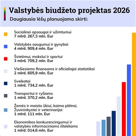 schema, iliustruojanti VšĮ „Laukinė orchidėja“ finansinius rodiklius (pajamos, nuostolis)
