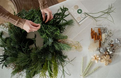 Vaismedžio vainiko forma ir augumo tipas