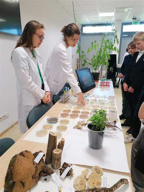 Mokslininkai, tyrinėjantys augalų skleidžiamus garsus