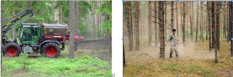 nuotraukos: miškuose barstomi pelenai