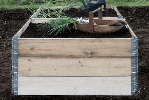 paruoštos lysvės su smėlio sluoksniu dekoratyvinių augalų augininiams