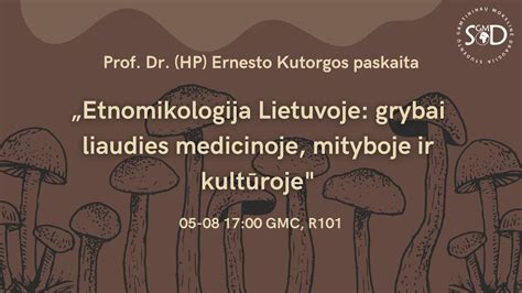 infografika apie kiečio panaudojimą liaudies medicinoje