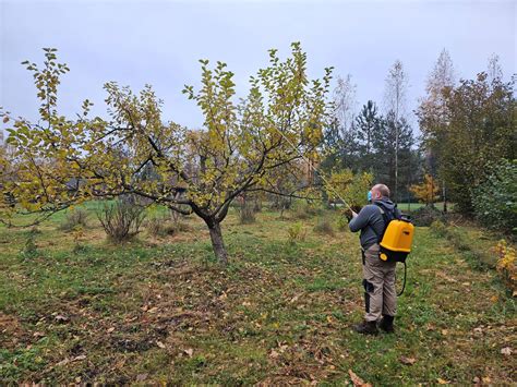 vaismedžių purškimas rudenį