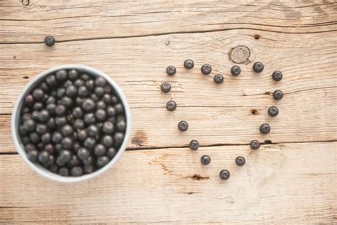 Aronijų krūmas su pilnomis uogų kekėmis