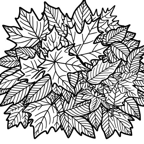 Paveikslėlis su lapų auginiais, pamerktais į vandenį