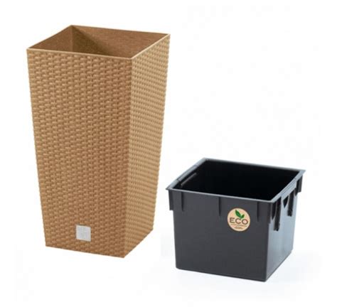 Vazonas su auginiais, apdengtas skaidriu maišeliu su skylutėmis