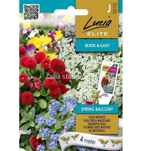 Įvairiaspalvis gėlių mišinys žydintis saulėtą dieną