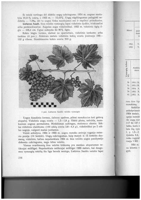 infografika: vaisinių augalų introdukcijos ir aklimatizacijos procesas