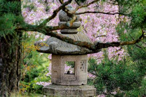 vaizdas: japoniškas sodas su tvenkiniu ir tilteliu