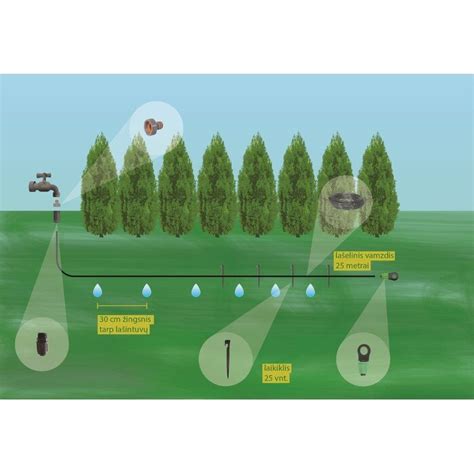 Infografika: vandens taupymas naudojant lašelinę laistymo sistemą