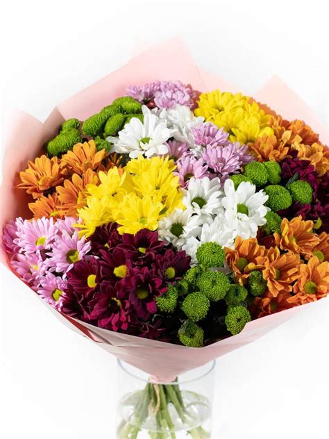 Įvairiaspalvių flioksų žiedynai