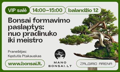 Bonsai medelio formavimo demonstracija