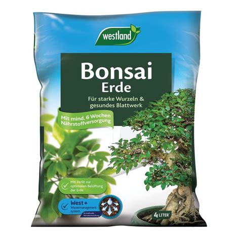 Specialus bonsai gruntas ir jo savybės