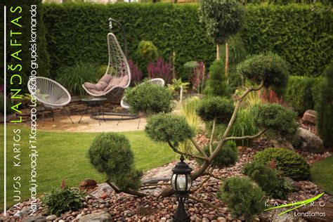 Įvairių rūšių mulčias, supiltas lysvėse ir aplink augalus.