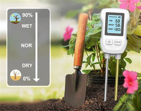 Infografika, iliustruojanti mulčiavimo naudą: drėgmės sulaikymas, piktžolių kontrolė, dirvožemio gerinimas.