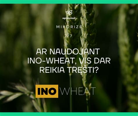 infografika, vaizduojanti optimalias tręšimo normas ir jų poveikį augalams bei aplinkai