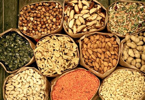 Įvairios sėklos ir grūdai, mirkomi ir dygstantys specialiuose induose