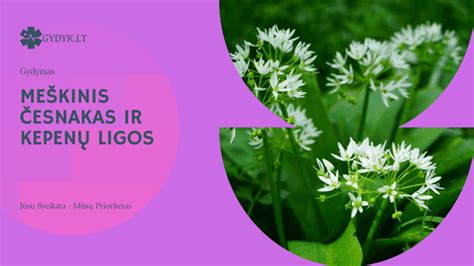 nuotrauka su užrašu 