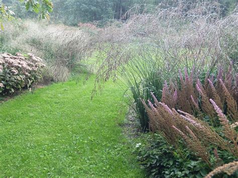 Iliustracija, demonstruojanti tinkamą vazono drenažą ir skirtingų augalų sodinimą kompozicijose.