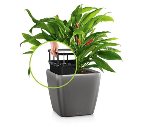 Dracenos persodinimo procesas: paruoštas naujas vazonas su drenažu ir žemių mišiniu