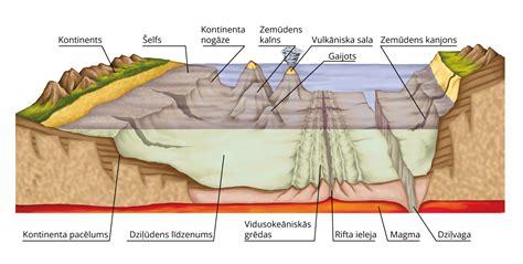 Schema, iliustruojanti skirtingų reljefo formų įtaką humuso pasiskirstymui dirvožemyje.