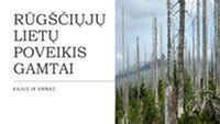 vaizdas, iliustruojantis rūgščių lietų poveikį gamtai ir statiniams