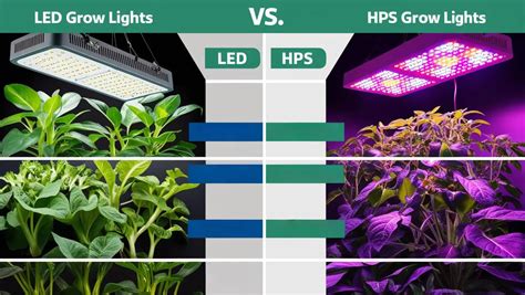 lyginamoji lentelė: LED vs HPS lempos efektyvumas ir tarnavimo laikas