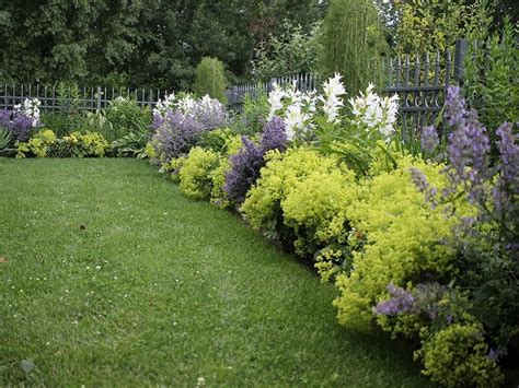 nuotrauka: įvairiaspalvis daugiametis gėlynas saulėtoje vietoje