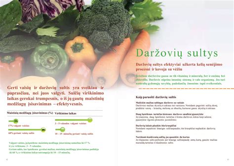 infografika su svogūnų maistinių savybių ir vitaminų išsidėstymu