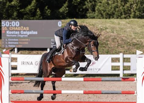 Grafika su Trakėnų žirgyno schema