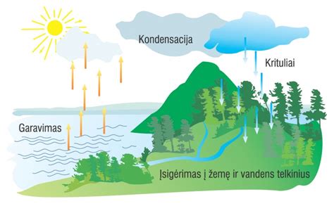scheminė azoto apytakos gamtoje diagrama
