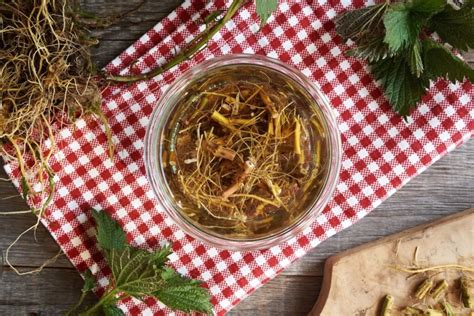 Dilgėlių raugo ruošimas