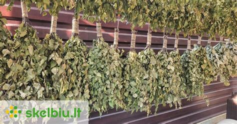 Dilgėlių vantos pirties procedūroms