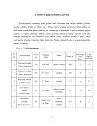 Gėlyno vietos paruošimas ir gruntas