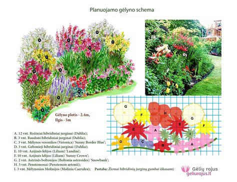 Gėlyno augalų kompozicija: rožės, bijūnai, alūnės