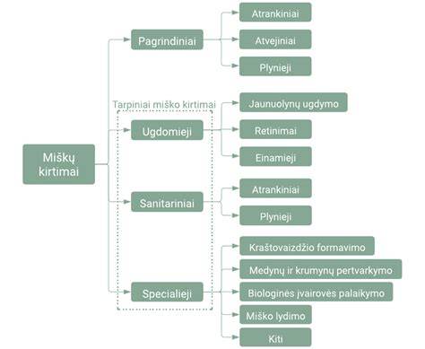 Schema, iliustruojanti skirtingus miško kirtimų tipus ir jų paskirtį