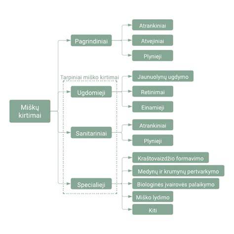 Schema, iliustruojanti atveju ir atrankinių miško kirtimų principus