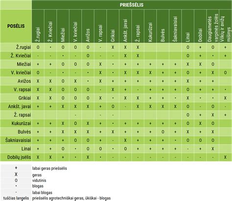 Schematinis pavaizdavimas sėjomainos principų skirtingoms daržovėms.