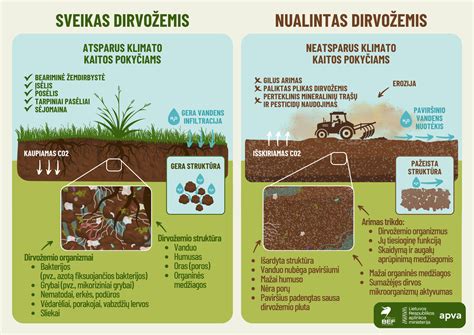 Iliustracija, rodanti skirtingus dirvožemio tipus ir jų tekstūras