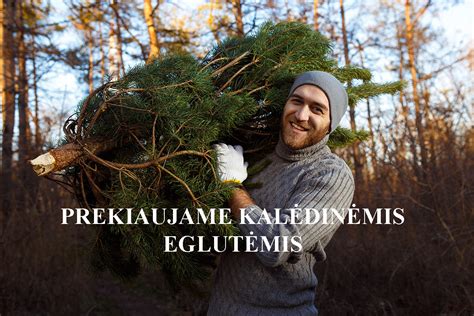 infografika: vaismedžių tręšimo ciklas pavasarį