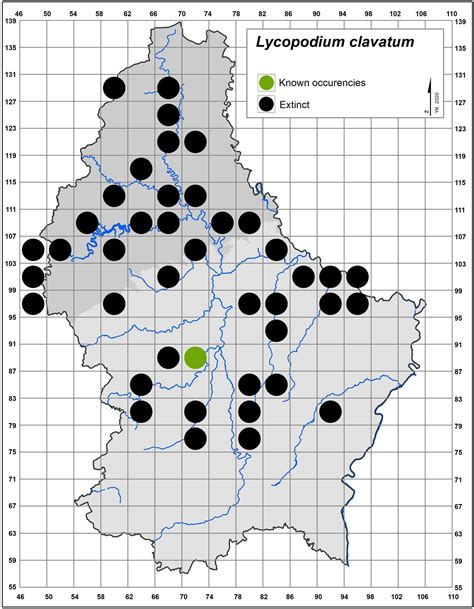 map of the distribution of Lycopodium clavatum in Europe and Asia
