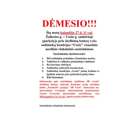 Infografika, vaizduojanti pagrindines sodininkų bendrijos pirmininko funkcijas ir atsakomybes.